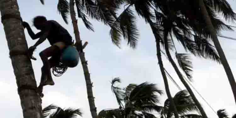 ചെത്തിയിറക്കുന്ന കള്ള് ചോദിച്ചിട്ട് കൊടുത്തില്ല; തെങ്ങ് യന്ത്രവാളിന് വെട്ടി വീഴ്ത്തി 45കാരന്‍