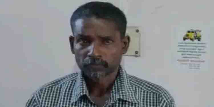 ഉടമ അറിയാതെ രണ്ടേക്കറില്‍ നിന്ന് 60 തോളം തെങ്ങ് മുറിച്ച് കടത്തി; ഒന്നാം പ്രതി പിടിയില്‍