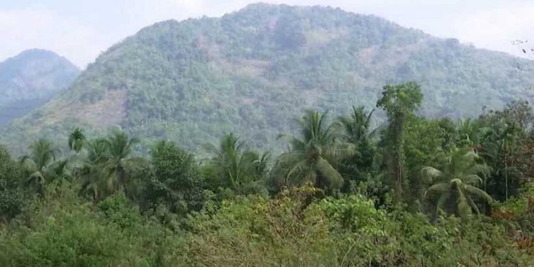 ബഫര്‍സോണ്‍: സമയപരിധി ശനിയാഴ്ച തീരും; ഇതുവരെ 54,607 പരാതികൾ, പരിഹരിച്ചത് 17,054