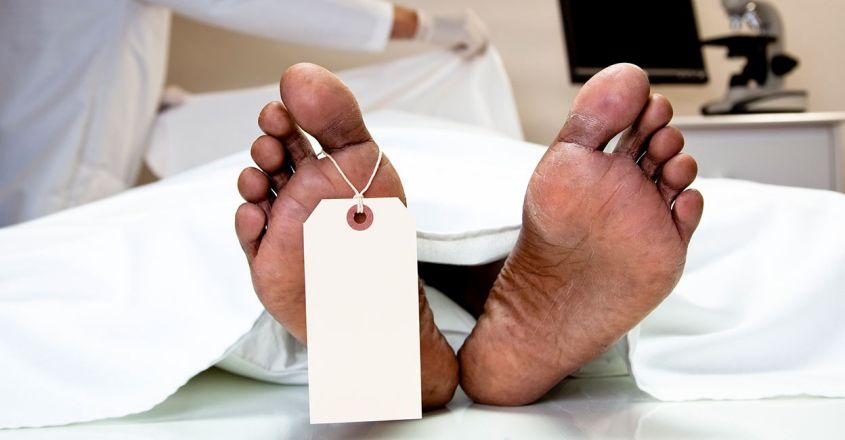 നാദാപുരത്ത് കാട്ടുതേനീച്ചയുടെ കുത്തേറ്റ് ഒരാൾ മരിച്ചു; 3 പേർക്ക് പരുക്ക്