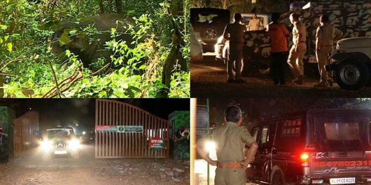 പാകിസ്താനിലെ വൈദ്യുതി പ്രതിസന്ധി: ഇസ്ലാമബാദ്, കറാച്ചി, പെഷാവർ, ലാഹോർ നഗരങ്ങൾ ഇരുട്ടിൽ
