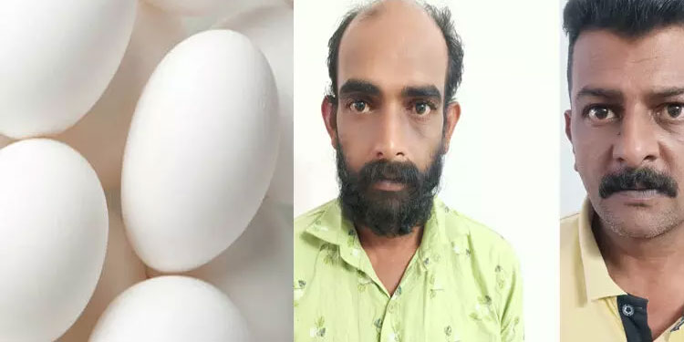 കോഴിമുട്ട കള്ളൻമാർ പിടിയിൽ: മൊത്തക്കച്ചവടത്തിന് കൊണ്ടുവന്ന 75,000 രൂപ വിലവരുന്ന മുട്ട കവർന്ന് ചെറിയ വിലക്ക് വിറ്റു