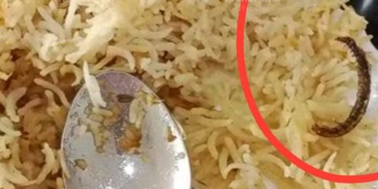 മട്ടാഞ്ചേരിയിൽ ബിരിയാണിയിൽ പഴുതാര; സംസ്ഥാനത്തെ 16 ഷവർമ കടകൾ അടപ്പിച്ചു