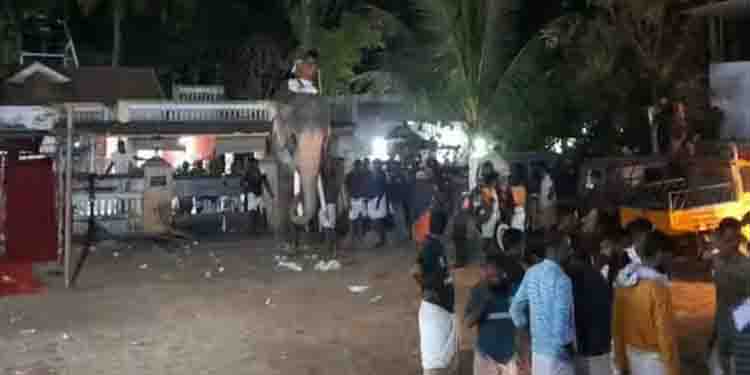 ഉത്സവത്തിനിടെ തെച്ചിക്കോട്ടുകാവ് രാമചന്ദ്രൻ ഇടഞ്ഞു, പാപ്പാന് ​ഗുരുതര പരിക്ക്; ഏറെനേരം പരിഭ്രാന്തി