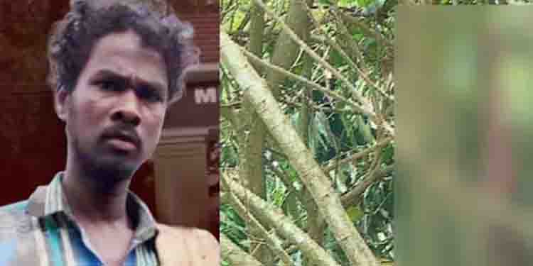 ആത്മഹത്യ ചെയ്ത ആദിവാസി യുവാവിനെതിരെ ആൾക്കൂട്ട മർദ്ദനം നടന്നതിന് പ്രാഥമിക തെളിവുകൾ ഇല്ലെന്ന് പോലീസ്