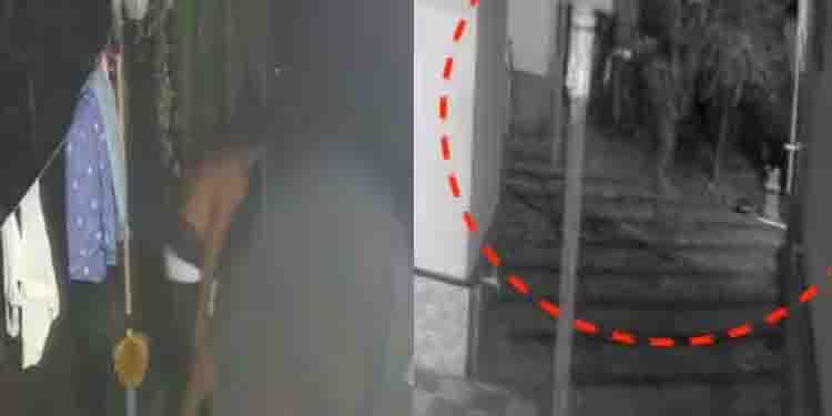 ‘വൈക്കത്ത് പമ്മി പമ്മി വന്ന കള്ളൻ’, വീട്ടിൽ കയറി ഷേവ് ചെയ്തു, കശുവണ്ടിയും കഴിച്ച് മടങ്ങി, സിസിടിവിയൽ കുടുങ്ങി