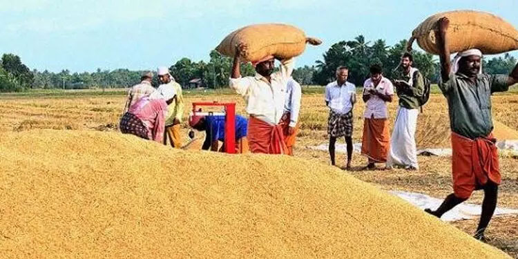 നെല്ല് സംഭരണത്തിലെ അഴിമതി: വിജിലൻസിന്റെ സംസ്ഥാന വ്യാപക മിന്നൽ പരിശോധന