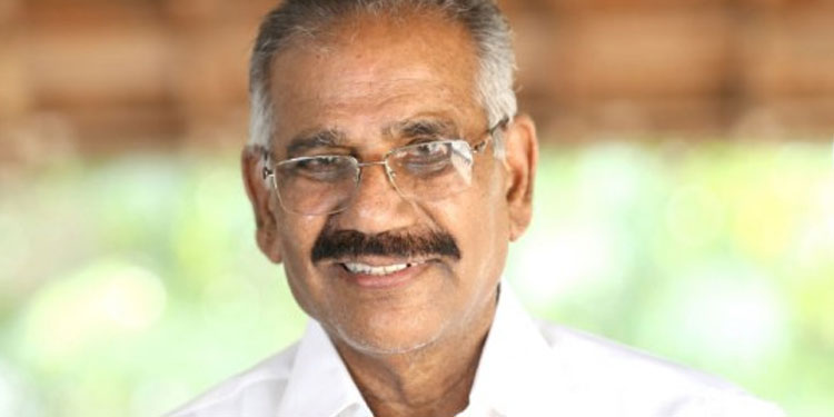 നാട്ടിലിറങ്ങുന്ന മൃഗങ്ങളെ കാടുകയറ്റാൻ സംവിധാനം: വനംമന്ത്രി