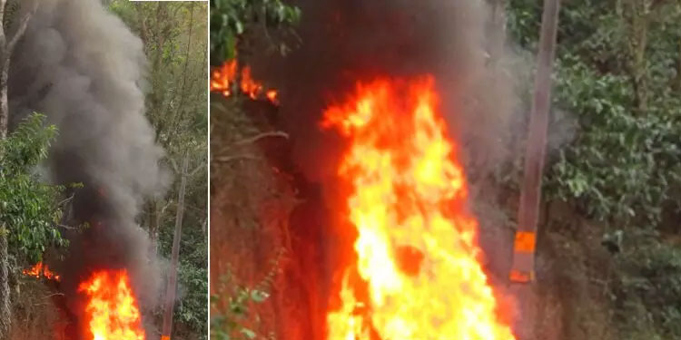 വയനാട്ടിൽ ഓടുന്ന കാറിന് തീപിടിച്ചു; യാത്രക്കാർ തലനാരിഴക്ക് രക്ഷപ്പെട്ടു
