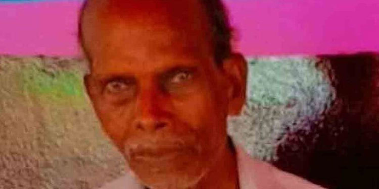 പാലക്കാട്ട് ഗൃഹനാഥന്‍ തേനീച്ചയുടെ കുത്തേറ്റ് മരിച്ചു; 2 പേർക്ക് പരുക്ക്