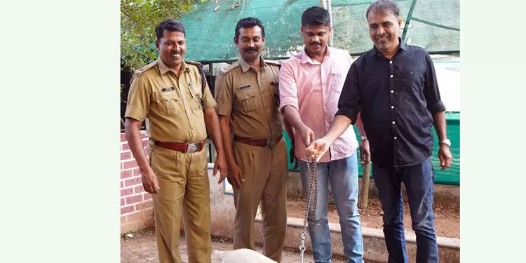 വളർത്തു നായക്കൾ ‘ജയില്‍ മോചിതരായി’ ഇനി ഇബ്രാഹിമിന് സ്വന്തം
