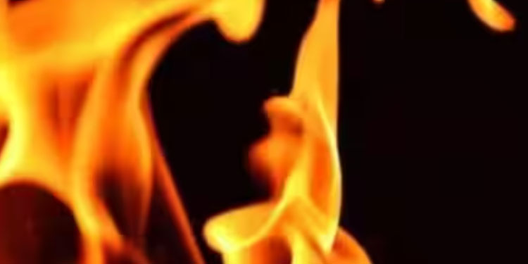 പാലക്കാട് ഫർണീച്ചർ സ്ഥാപനത്തിൽ തീപിടിത്തം