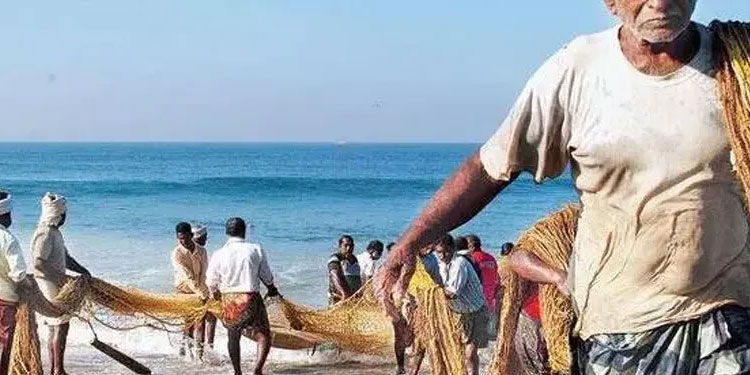 കേന്ദ്ര ബജറ്റ്: മൽസ്യമേഖലയിലെ നിർദേശങ്ങൾ നിരാശാജനകം