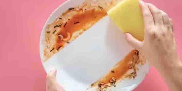 പാത്രങ്ങളിലെ മഞ്ഞളിന്‍റെ കറ അകറ്റാം; പരീക്ഷിക്കാം ഈ പൊടിക്കൈകള്‍…