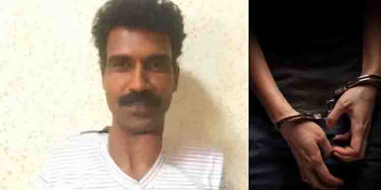 ‘കൊപ്ര, കമ്പി’, കിട്ടുന്നതൊക്കെ മോഷ്ടിക്കും; നിരവധി മോഷണക്കേസുകളിൽ പ്രതി, 20 വര്‍ഷത്തിന് ശേഷം പിടിയിൽ