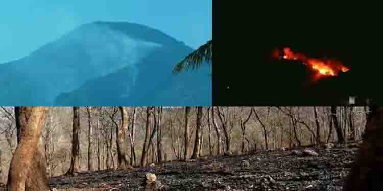 താപനില 40 ഡിഗ്രീക്ക് മുകളിൽ: ചുട്ടുപൊള്ളി പാലക്കാട്. ഭീഷണിയായി കാട്ടുതീ