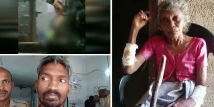 കൊല്ലത്ത് വൃദ്ധ മാതാവിന് മദ്യലഹരിയിൽ മകന്റെ ക്രൂരമർദ്ദനം, അറസ്റ്റ്