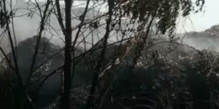 പാലക്കാട് ഇന്ന് രണ്ടിടത്ത് കാട്ടുതീ, വേനൽ കടുക്കുമ്പോൾ ആശങ്കയിൽ നാട്ടുകാർ