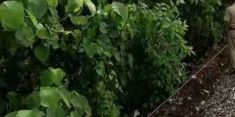 ട്രെയിൻ യാത്രക്കിടെ തിരുവനന്തപുരം സ്വദേശിക്ക് ദാരുണാന്ത്യം; വാതിൽപ്പടിയിൽ ഇരുന്ന് ഉറങ്ങി വീണെന്ന് നിഗമനം