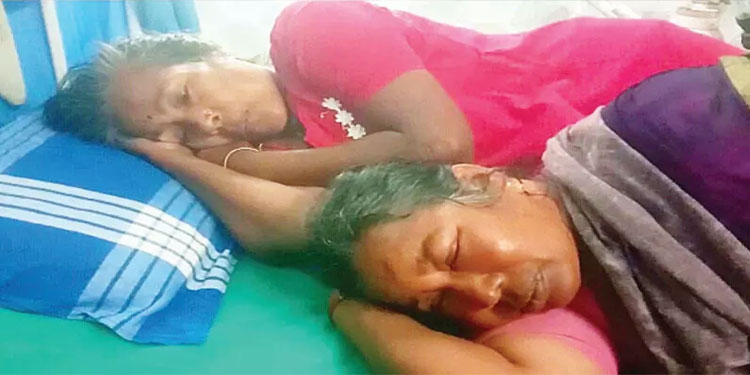 തേനീച്ച ആക്രമണം: തൊഴിലുറപ്പ് തൊഴിലാളികൾക്ക് പരിക്ക്