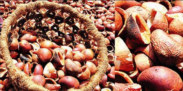 കൊപ്ര സംഭരണം അടുത്ത മാസം പുനരാരംഭിക്കും