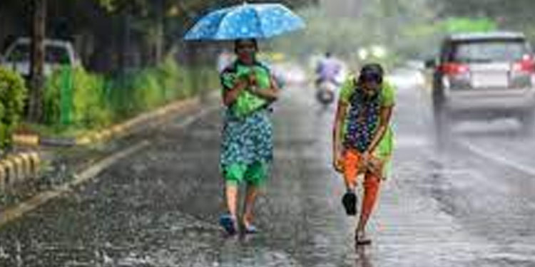 ആശ്വാസമായി വേനൽമഴ; കോട്ടയം ഉൾപ്പെടെ വിവിധ ജില്ലകളിൽ തകർത്തുപെയ്ത് മഴ