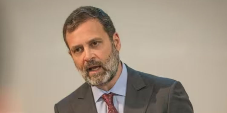 പീഡനത്തിന് ഇരയായ പെണ്കുട്ടിയെ കണ്ടെന്ന വെളിപ്പെടുത്തലിൽ രാഹുലിന് ദില്ലി പൊലീസിൻ്റെ നോട്ടീസ്