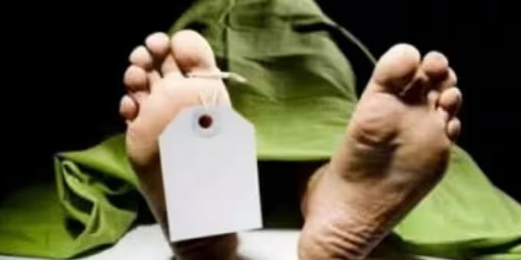 ആലുവയില്‍ രണ്ട് അജ്ഞാത മൃതദേഹങ്ങള്‍ കണ്ടെത്തി