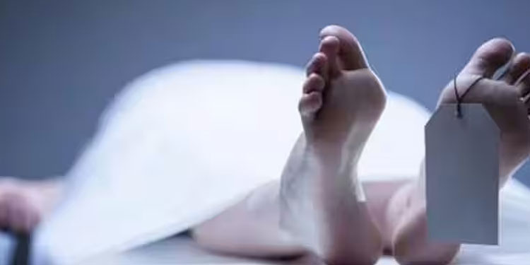 വിഷം ഓണ്‍ലൈനില്‍ വരുത്തി പ്രോട്ടീന്‍ ഷേയ്ക്കില്‍ ഭാര്യയ്ക്ക് നല്‍കി കൊലപ്പെടുത്തിയ ദന്ത ഡോക്ടര്‍ പിടിയില്‍
