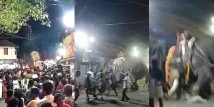 മദ്യലഹരിയിൽ ആനയുടെ വാലിൽ പിടിച്ചു’; ശ്രീകാര്യത്ത് ഉത്സവ ഘോഷയാത്രക്കിടെ ആന വിരണ്ടോടി, 5 പേർക്ക് പരിക്ക്