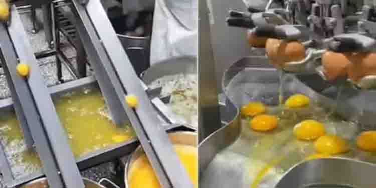 മുട്ട പൊട്ടിച്ച് മഞ്ഞയും വെള്ളയും വേര്‍തിരിക്കുന്ന മെഷീൻ; രസകരമായ വീഡിയോ…