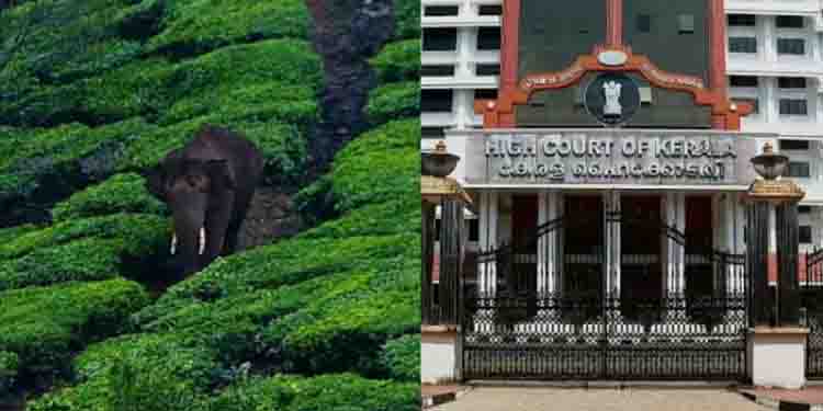 ‘അരിക്കൊമ്പന്‍ കേസ് വേഗത്തിൽ പരിഗണിക്കാനുണ്ടായ സാഹചര്യം അന്വേഷിക്കണം’ചീഫ് ജസ്റ്റീസിന് കർഷക സംഘടനകളുടെ പരാതി
