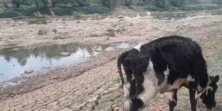 കബനി വരണ്ടു; ഉണര്‍ന്നു പ്രവര്‍ത്തിച്ച് കര്‍ണാടക, ഡാമുകളില്‍ ഇപ്പോഴും വെള്ളം സുലഭം
