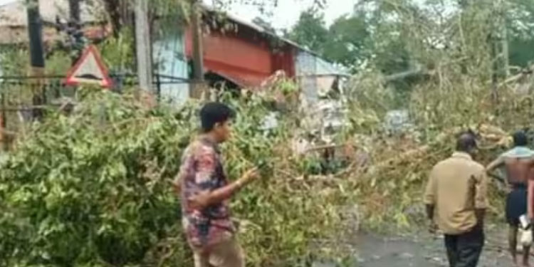 അടൂരിൽ ശക്തമായ കാറ്റും മഴയും; സ്കൂട്ടറിന് മുകളിൽ മരം ഒടിഞ്ഞു വീണ് ഒരു മരണം