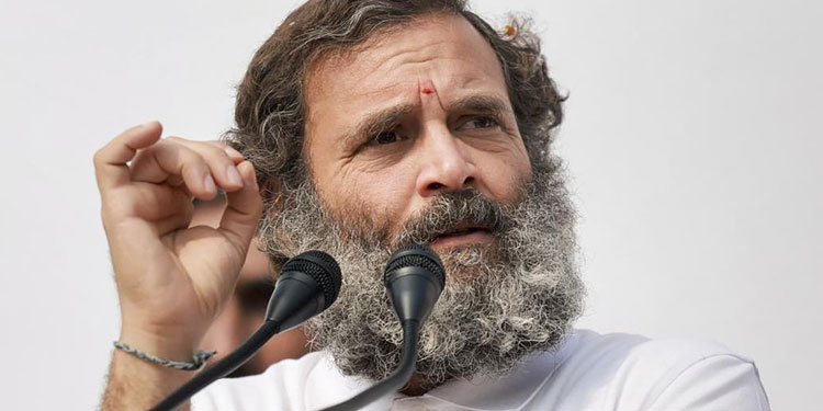‘രാഹുൽ ഗാന്ധി ആധുനിക ഇന്ത്യയുടെ മഹാത്മാ ഗാന്ധി; രാഷ്ട്രപുത്രൻ’: കോൺഗ്രസ് എംഎൽഎ