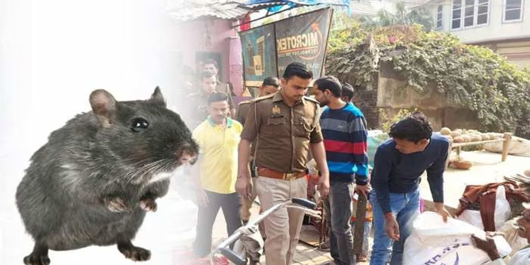 യു.പിയില്‍ എലിയെ ഓടയില്‍ മുക്കിക്കൊന്ന യുവാവിനെതിരെ പോലീസ് കുറ്റപത്രം