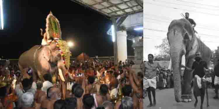 നീണ്ട 16 വര്‍ഷം; തെച്ചിക്കോട്ടുകാവ് രാമന്‍ചന്ദ്രന്‍ വീണ്ടും കൂടല്‍മാണിക്യ ക്ഷേത്രത്തിലെത്തി, തിടമ്പേറ്റാന്‍