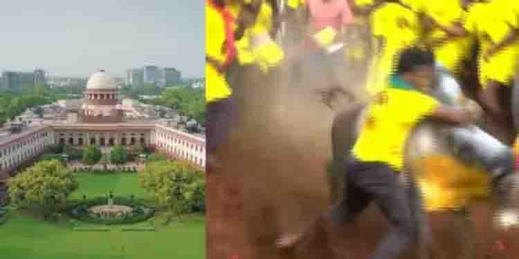 ജെല്ലിക്കെട്ടിന് പൂട്ടില്ല, തമിഴ് സംസ്കാരത്തിന്റെ അവിഭാജ്യ ഘടകമെന്ന് സുപ്രീംകോടതി,നിയമഭേദഗതി നിലനില്ക്കും