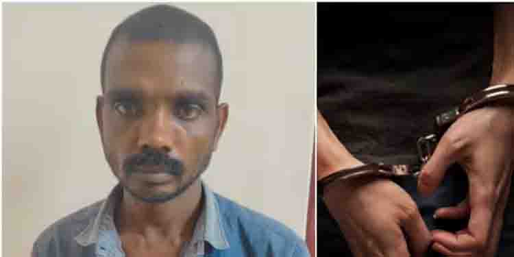 മദ്യപിക്കാൻ പണം ചോദിച്ചു, അമ്മ നിരസിച്ചു; വയോധികയെ മകൻ ചവിട്ടി, വാരിയെല്ല് തകർത്തു, മർദിച്ചു കൊലപ്പെടുത്തി