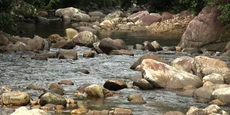 വിനോദ സഞ്ചാരികള്‍ക്ക് സുരക്ഷ: കല്ലാറില്‍ വനം വകുപ്പിന്റെ ഇന്റഗ്രേറ്റഡ് ചെക്ക്‌പോസ്റ്റ് തുറന്നു
