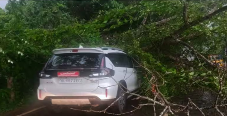 ഇരിട്ടിയിൽ കനത്ത കാറ്റും മഴയും ;  പഞ്ചായത്ത് പ്രസിഡന്റിന്റെ കാറിന് മുകളില്‍ മരം ഒടിഞ്ഞ് വീണു
