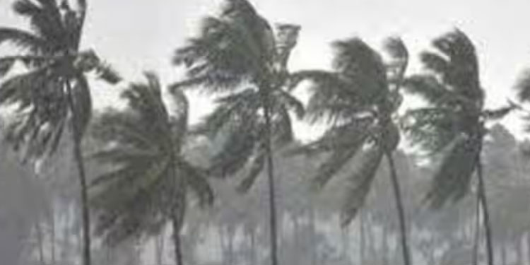 സംസ്ഥാനത്ത് ഇന്നും പരക്കെ വേനൽ മഴക്ക് സാധ്യത: 5 ജില്ലകളിൽ യെല്ലോ അലർട്ട്