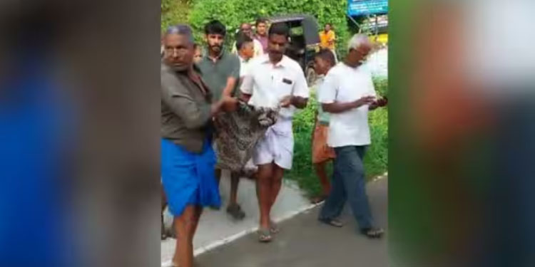 കാട്ടുപോത്തിന്റെ ആക്രമണം: കൊല്ലപ്പെട്ടവരുടെ കുടുംബങ്ങൾക്ക് ധനസഹായം പ്രഖ്യാപിച്ച് ഇൻഫാം