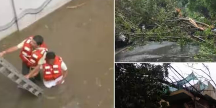 കനത്ത മഴയിൽ ബംഗളുരുവിൽ നടുക്കുന്ന മരണം; അടിപ്പാതയിൽ വെള്ളം, കാർ മുങ്ങി, 22 വയസുള്ള ഇൻഫോസിസ് ജീവനക്കാരി മരിച്ചു