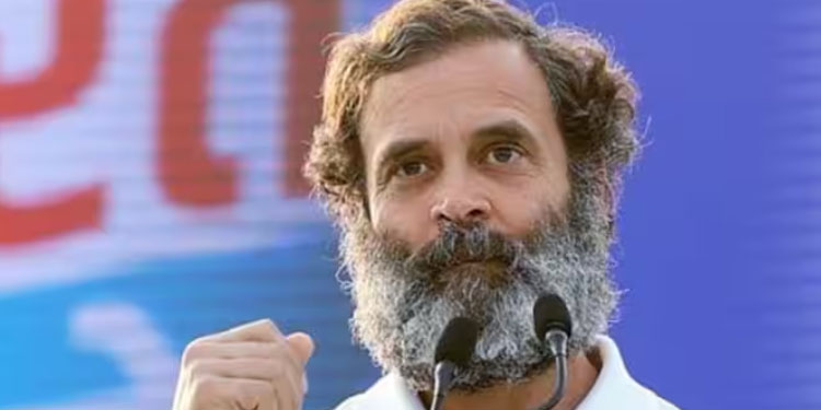 അപകീ‍ർത്തി കേസില്‍ ഇടക്കാല സ്റ്റേയില്ല; രാഹുല്‍ ഗാന്ധിയുടെ അയോഗ്യത തുടരും