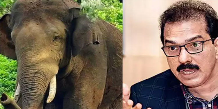 അരിക്കൊമ്പനെ കേരളത്തിന് കൈമാറണം, സുരക്ഷ ഉറപ്പാക്കണം; ഹൈകോടതിയിൽ ഹരജിയുമായി സാബു എം. ജേക്കബ്