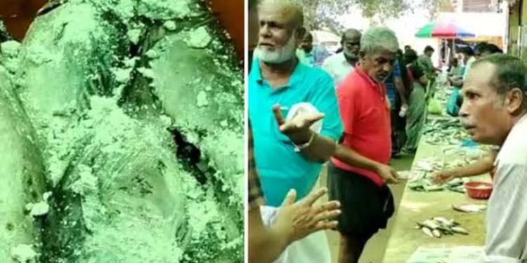 മണൽ വിതറി മത്സ്യവില്‍പ്പന; മാർക്കറ്റിൽ അമോണിയം കലർന്ന മീൻ, നശിപ്പിച്ചത് ഒന്നും രണ്ടുമല്ല, 288 കിലോ