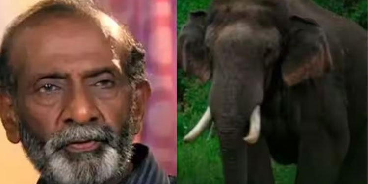അരിക്കൊമ്പന് ഫാൻസുണ്ട്, എനിക്കില്ല, എന്തൊരു കഷ്ടമാണ്: ടി ജി രവി