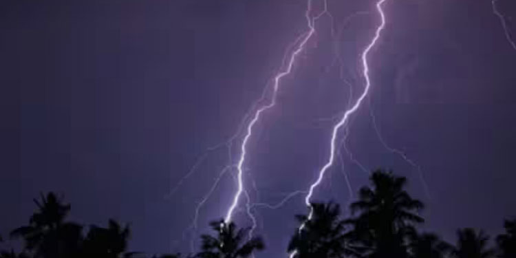 സംസ്ഥാനത്ത് അടുത്ത അഞ്ച് ദിവസം വ്യാപക മഴയ്ക്ക് സാധ്യത; അടുത്ത മണിക്കൂറുകളിൽ 7 ജില്ലകളിൽ മഴ സാധ്യത