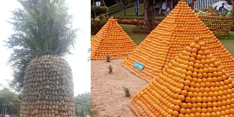 സഞ്ചാരികളുടെ മനം കവർന്ന് ഊട്ടി വസന്തോത്സവം; പഴവർഗ പ്രദർശനം തുടങ്ങി